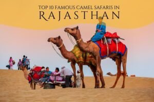 Camel-Safaris-in-Rajasthan